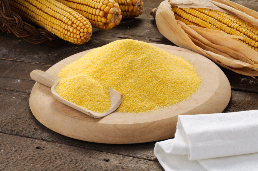 Maize and Corn Flour Suppliers India